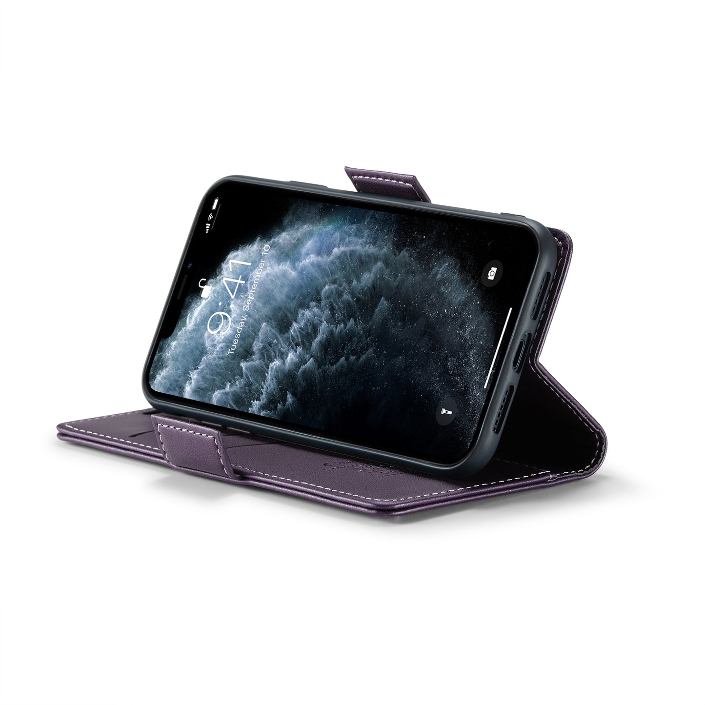 iPhone 11 Pro Litchi Texture RFID Anti-theft Leather Phone Case with Butterfly Buckle, Stand & Card Wallet with TPU Shell